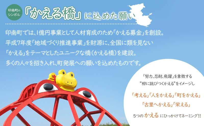 ［訳あり］ご家庭用 紀州南高梅 はちみつ漬つぶれ梅 600g×1個 わけあり 和歌山県産