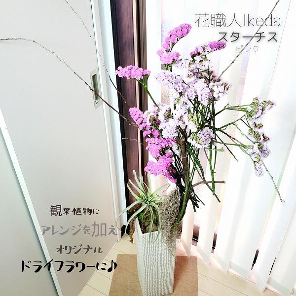 生花《スターチス》 花職人Ikeda（ピンク）