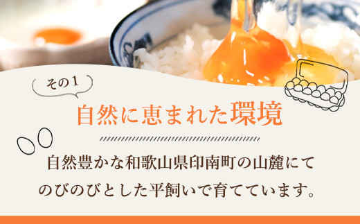 【全3回】紀の国みかん極みたまご定期便 卵 たまご 玉子 タマゴ 鶏卵  卵かけご飯
