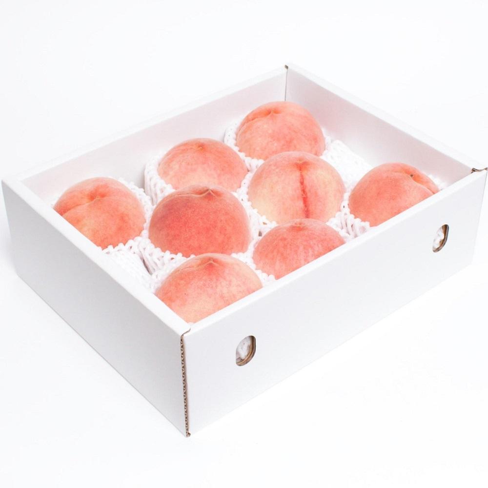 ［先行予約］和歌山の厳選白桃 約1.5kg［白鳳・清水白桃・川中島・もも・はくとう］［化粧箱入り］［IKE16］