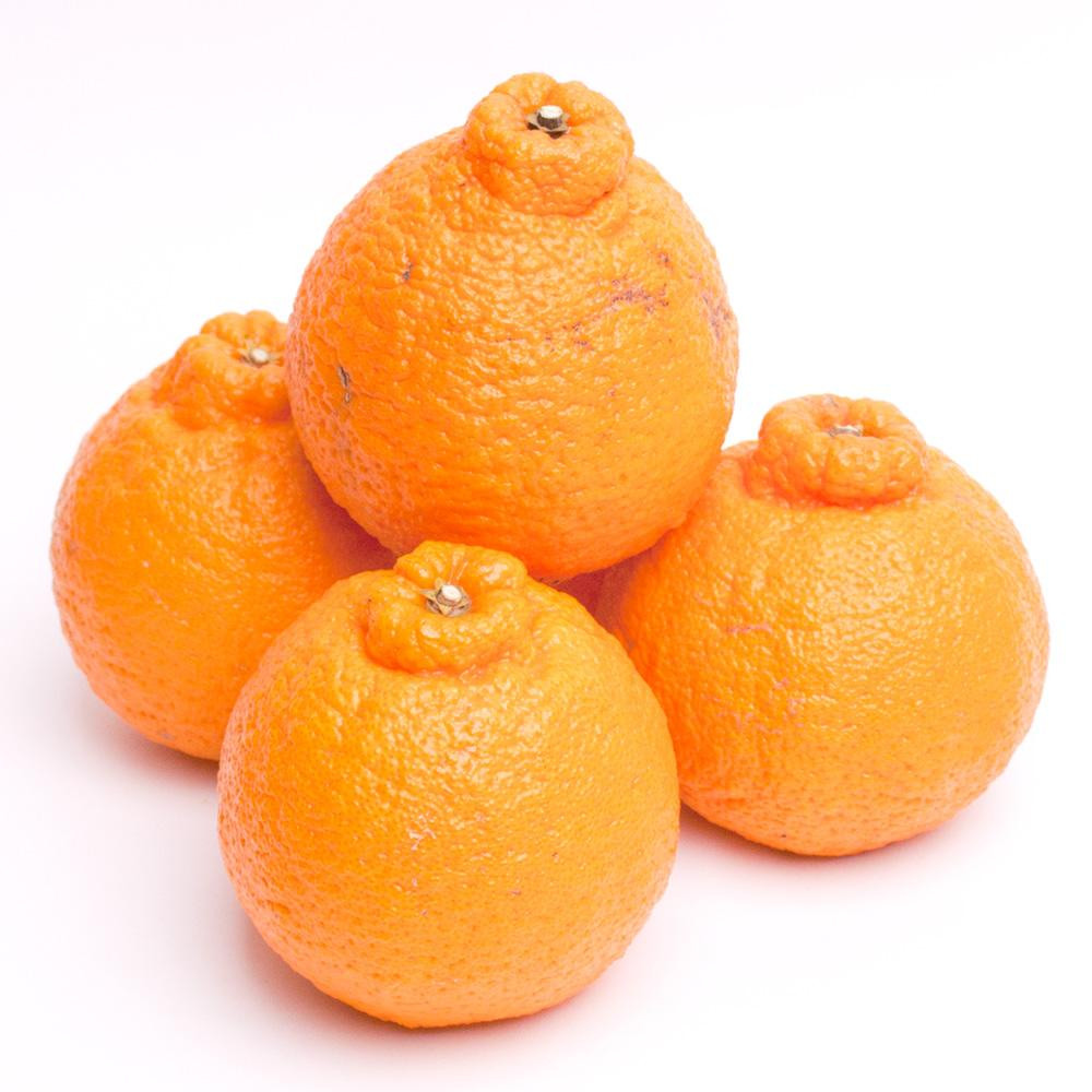 ［先行予約］厳選 不知火5kg+250g（傷み補償分）［デコポンと同品種・人気の春みかん］［IKE50］