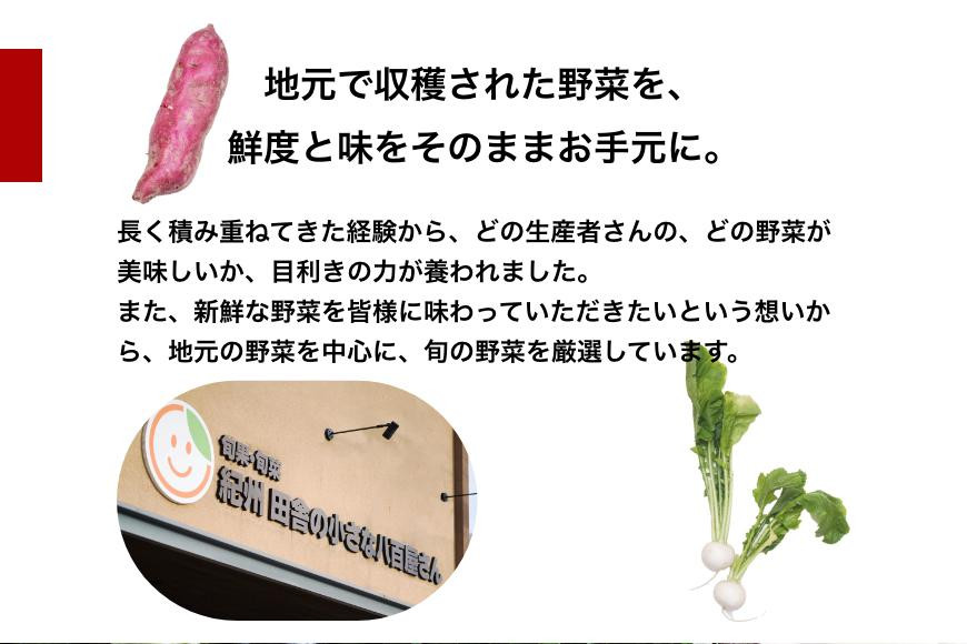 旬の新鮮野菜詰め合わせ 8種以上【野菜セット】 詰め合わせ やさい 果物 新鮮 旬 産地直送 採れたて 朝採れ みずみずしい 甘い 美味しい 人気 安心 安全 おすすめ 和歌山 県印南町