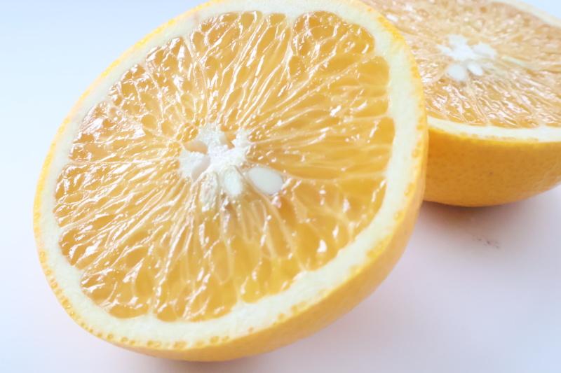 【訳あり・ご家庭用】はっさく（八朔）約5kg 和歌山産