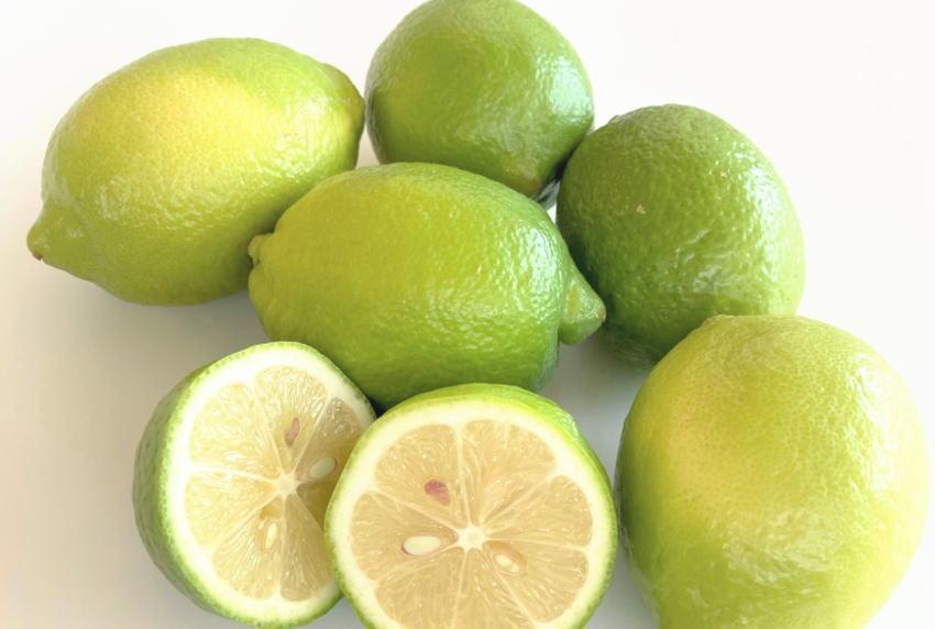 和歌山産レモン/グリーンレモン 4kg 【国産レモン】