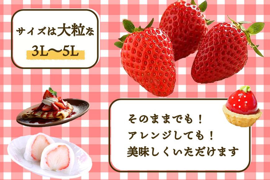 ［先行予約］いちご（まりひめ）2パック 和歌山生まれのイチゴ