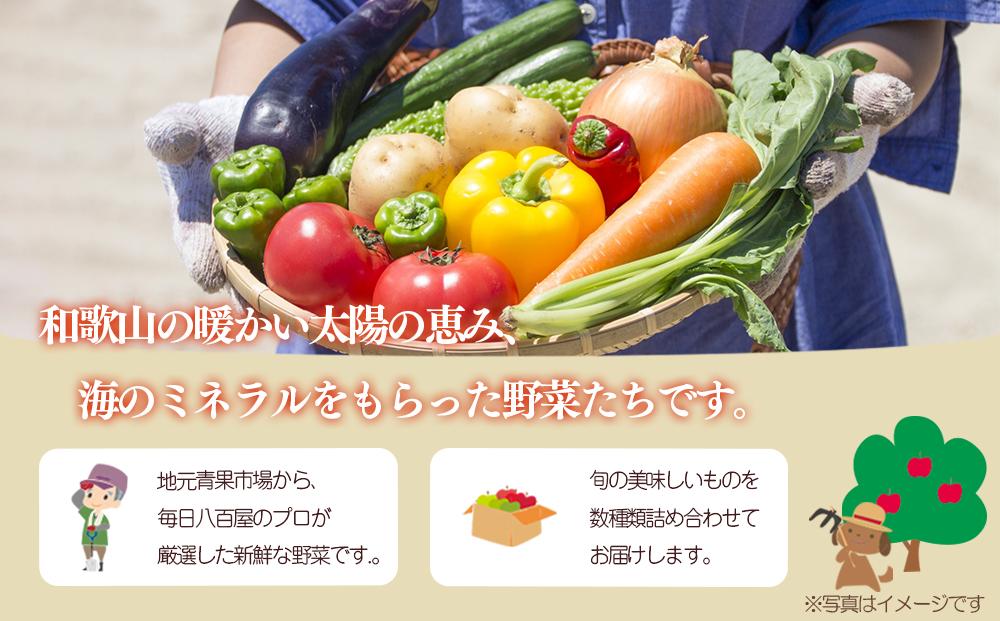 【毎月お届け全12回】旬の新鮮野菜セットＡ（たっぷり13種類以上）詰め合わせ やさい 果物 新鮮 旬 産地直送 採れたて 朝採れ みずみずしい 甘い 美味しい 人気 安心 安全 おすすめ 和歌山 県印南町