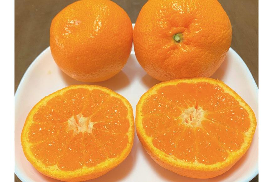 印南町産 完熟温州みかん約3.5kg（S～Lサイズ）＆レモン約1.2kg詰め合わせ