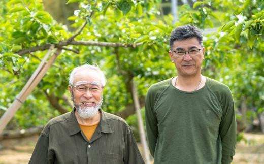 ［梅干・梅酒用］小粒（SまたはM－3Kg）熟南高梅＜2026年6月下旬～7月中旬発送予定＞フルーツ 果物 くだもの 食品 人気 おすすめ 送料無料［ART20］