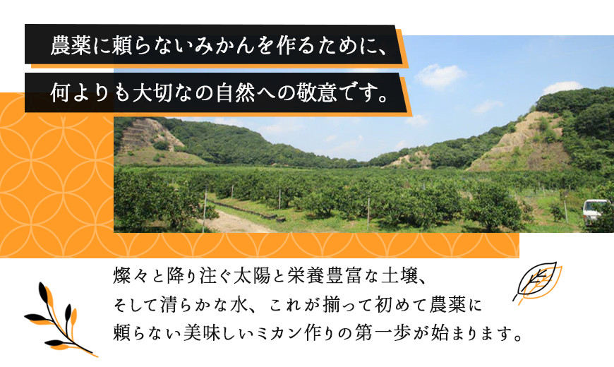 みかんジュース 720ml×6本セット『金蜜（きんみつ）』糖度13度以上 本家六代目上門農園の傑作