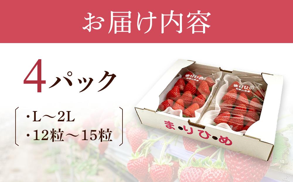 まりひめイチゴ L～２L 12粒～15粒×4パック［2026年1月中旬から発送］［先行販売］［KG8］