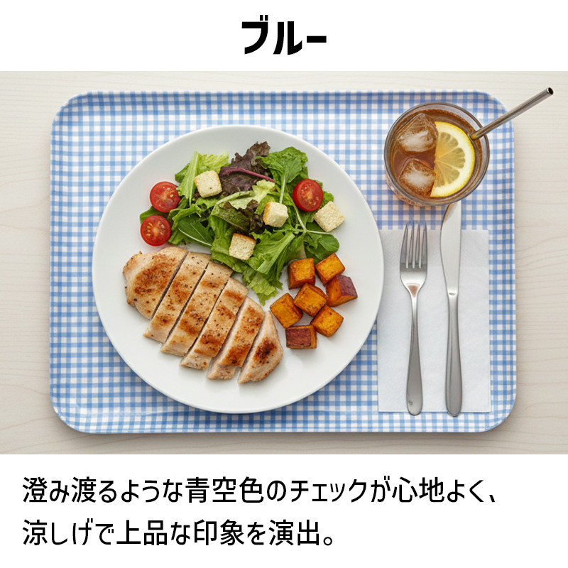 TATSU-CRAFT マグネットトレー SS 21.5cm チェック BL ブルー すべり止め付き ［Tk1050］