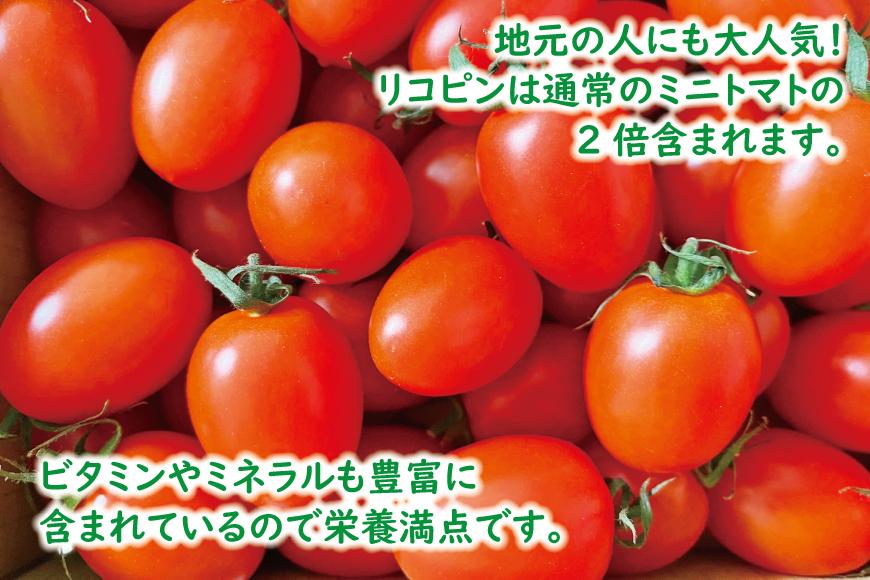 高糖度完熟ミニトマト 約2kg 【あいこ】