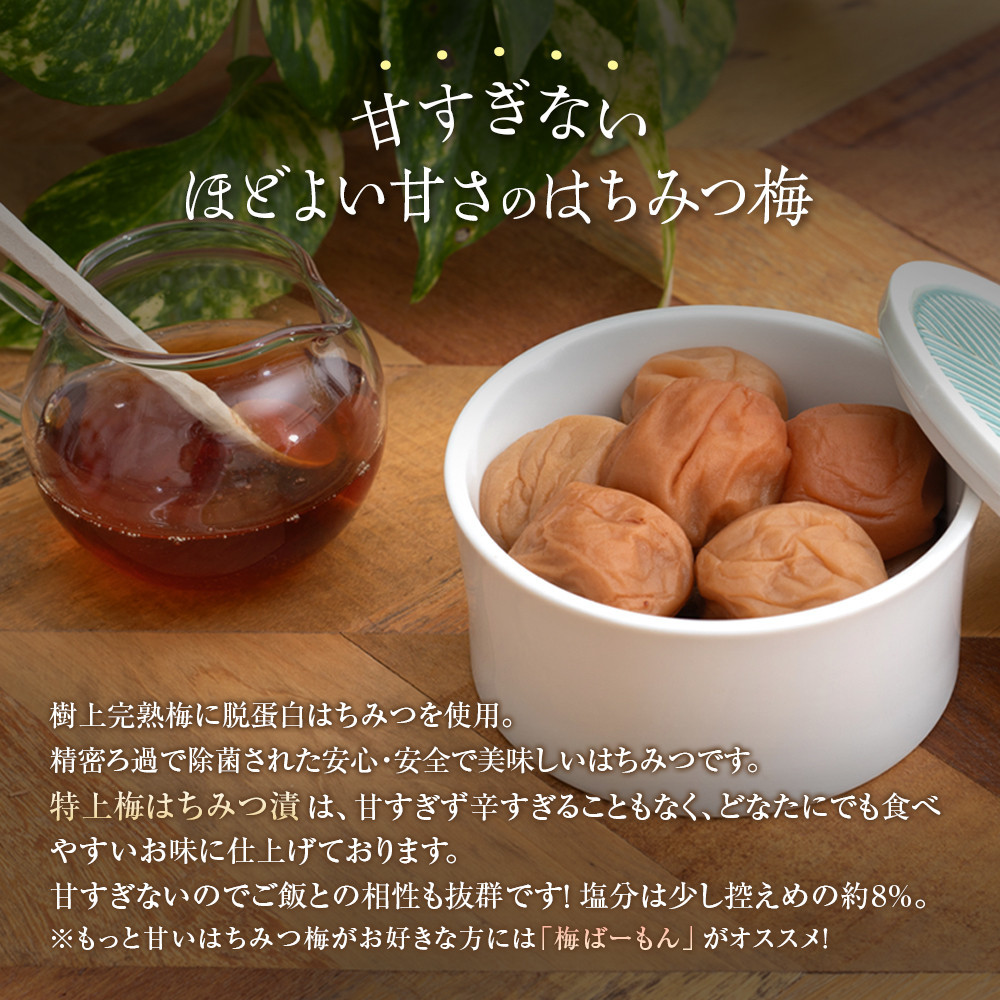 梅干し 紀州南高梅 徳用 はちみつ梅 1.5kg×1箱 ［Kn7］