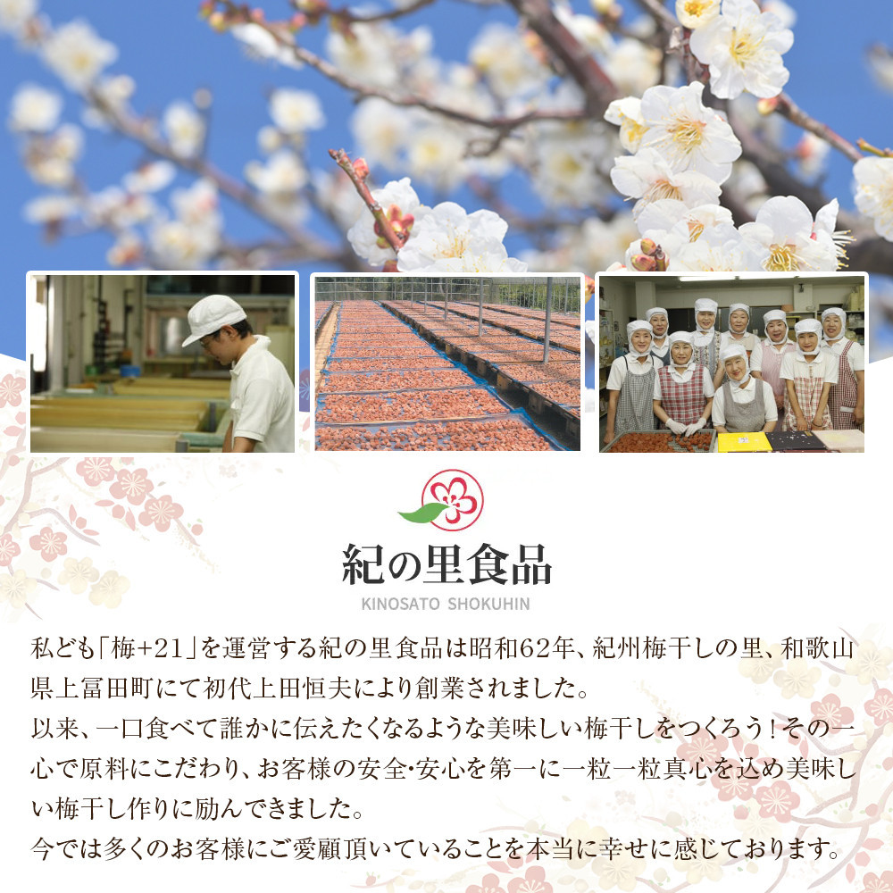 梅干し 極選の梅 木箱 1箱20粒入り ［Kn12］