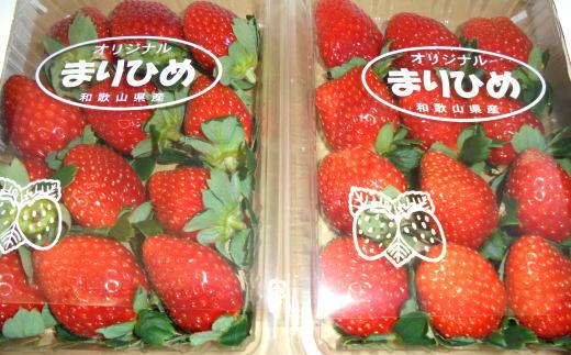 【2月発送】和歌山県産ブランドいちご「まりひめ」約300g×4パック入り【北海道・沖縄県・離島配送不可】【印南町産】