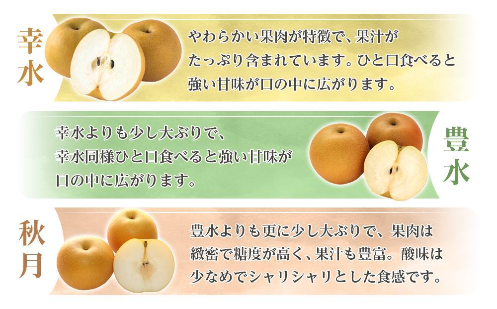 和歌山県産 旬の梨 約2kg［2025年8月中旬以降順次発送］［MG17］