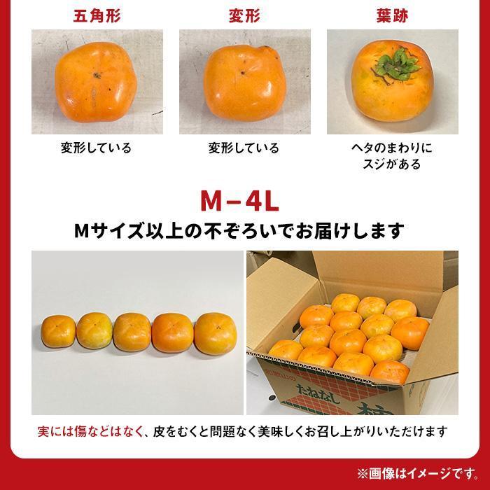 ［2026年10月上旬以降発送］◆先行予約◆ 和歌山県産 平核無柿＜ご家庭用＞約7.5kg 満杯詰め  柿 種無し たねなし ひらたね 訳あり ［MG87］