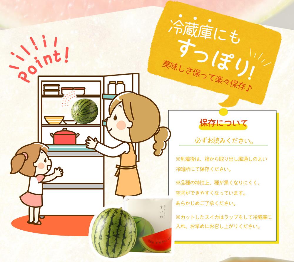 紀州和歌山産 小玉スイカ「ひとりじめ」 1玉【2026年6月中旬頃～2026年7月上旬頃に順次発送】【UT85】