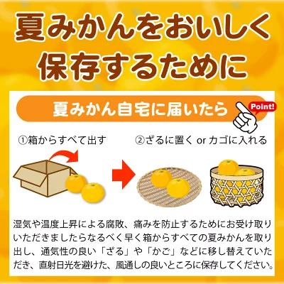 夏みかん 7.2kg［2026年4月中旬頃から発送］［先行予約］［UT73］