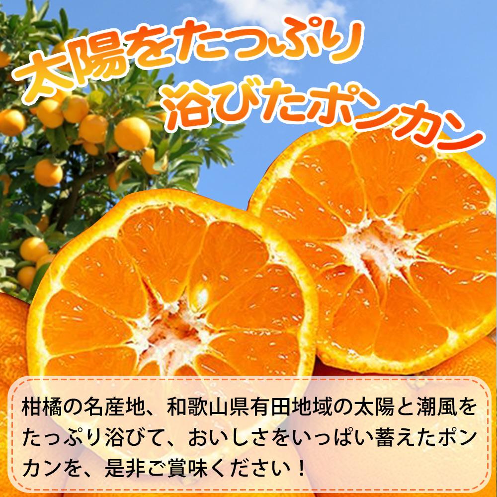 紀州和歌山有田産ポンカン　５ｋｇ【2026年2月上旬頃～2026年2月下旬頃に順次発送】【UT20】