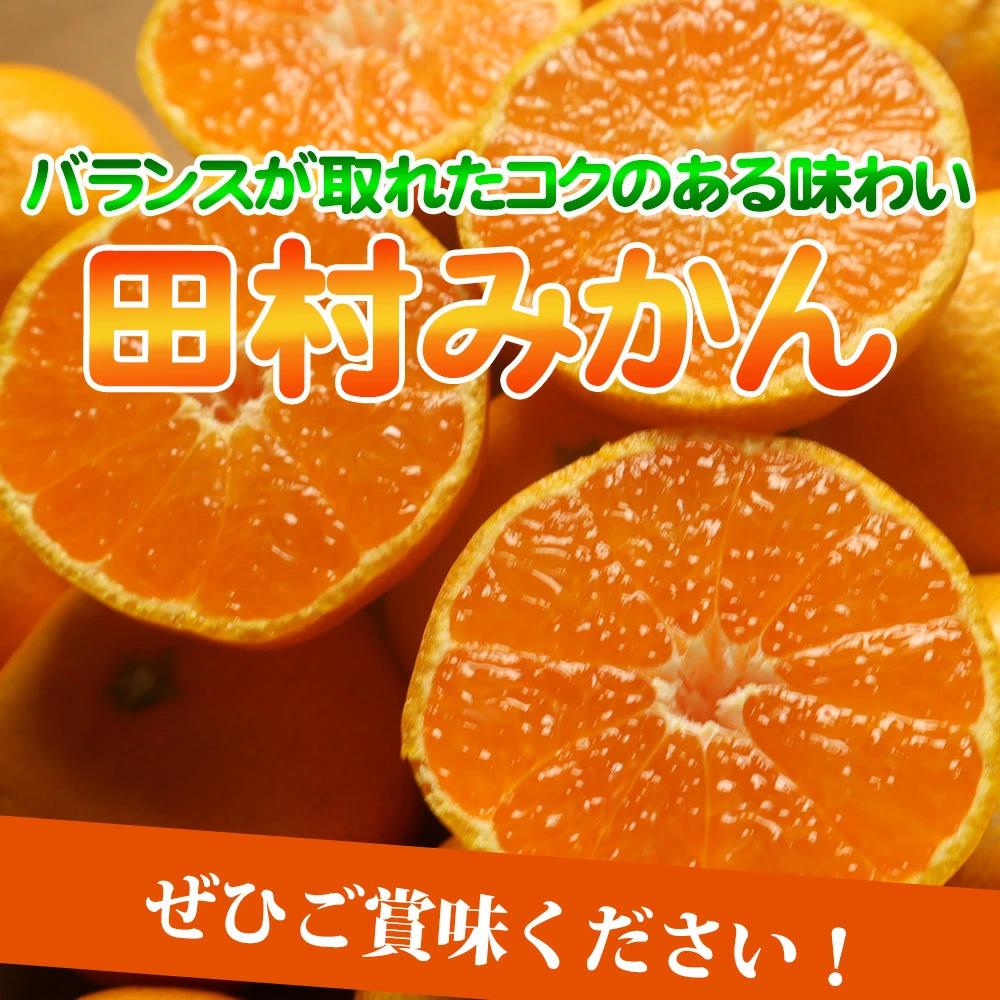 高級ブランド田村みかん　10kg［2026年11月下旬以降発送］［先行予約］［UT17］