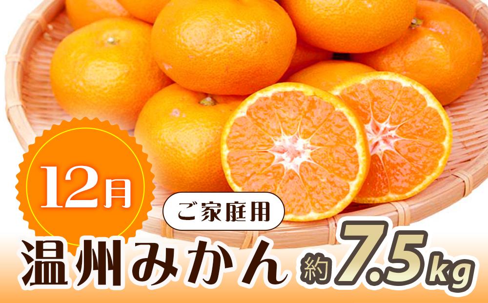 【10・11・12月 全3回】和歌山産 みかんと柿のお楽しみ 定期便 【魚鶴商店】【UT111】
