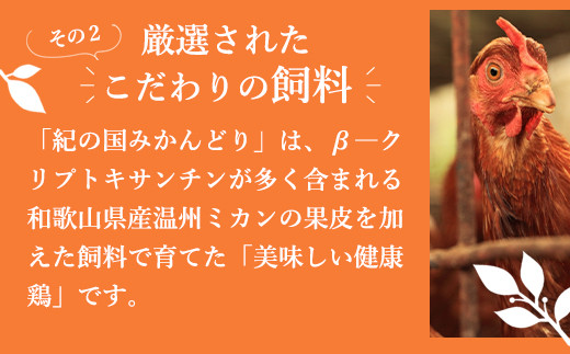 【全3回】紀の国みかん極みたまご定期便 卵 たまご 玉子 タマゴ 鶏卵  卵かけご飯