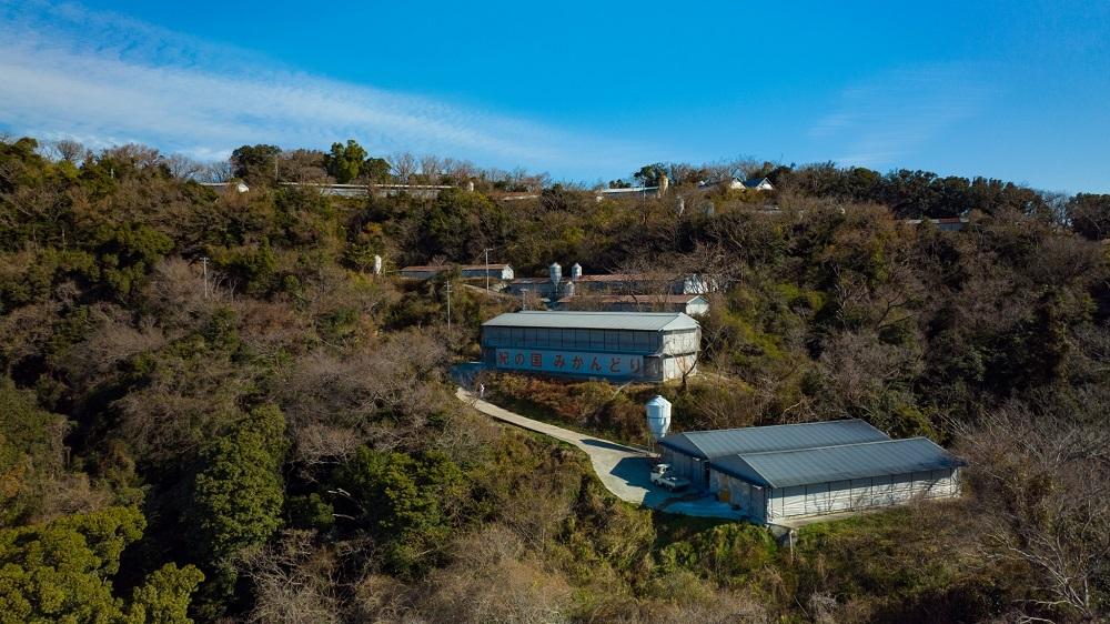 紀の国みかんどり　ローストレッグ3本グリルチキン9本