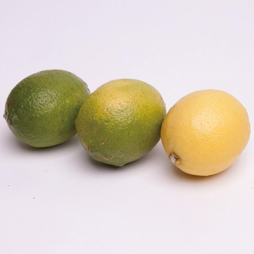 レモン1kg+250g（傷み補償分）［和歌山有田産］［防腐剤・WAX不使用、安心の国産レモン］［IKE128］