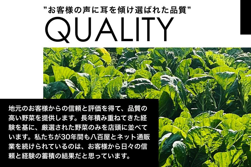 旬の新鮮野菜詰め合わせ 8種以上【野菜セット】 詰め合わせ やさい 果物 新鮮 旬 産地直送 採れたて 朝採れ みずみずしい 甘い 美味しい 人気 安心 安全 おすすめ 和歌山 県印南町