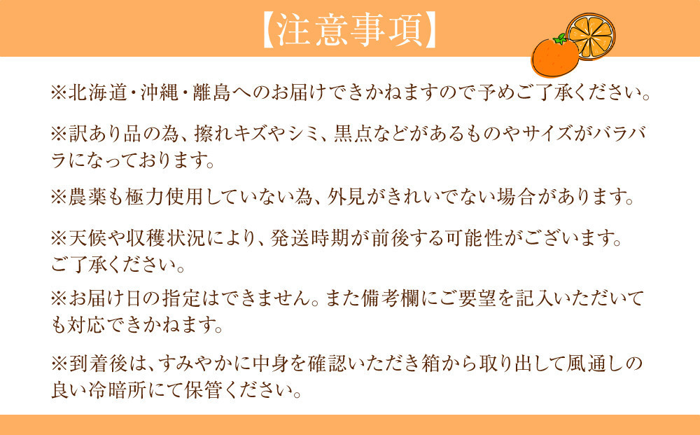 訳あり 森本農園の手選別 はるか 約10kg 和歌山県産 サイズ混合［北海道・沖縄・離島配送不可］［RN161］