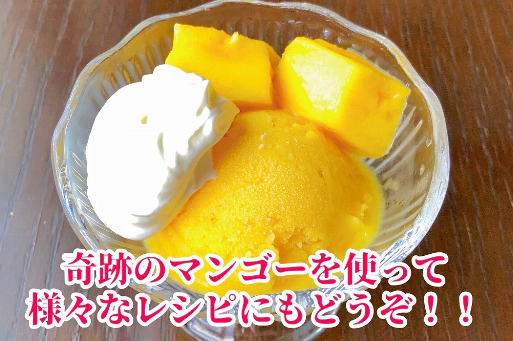 ◆先行予約◆和歌山県産　紀州完熟マンゴー『吉玉』2玉入り【2025年7月中旬から8月下旬頃順次発送予定】【MG19】