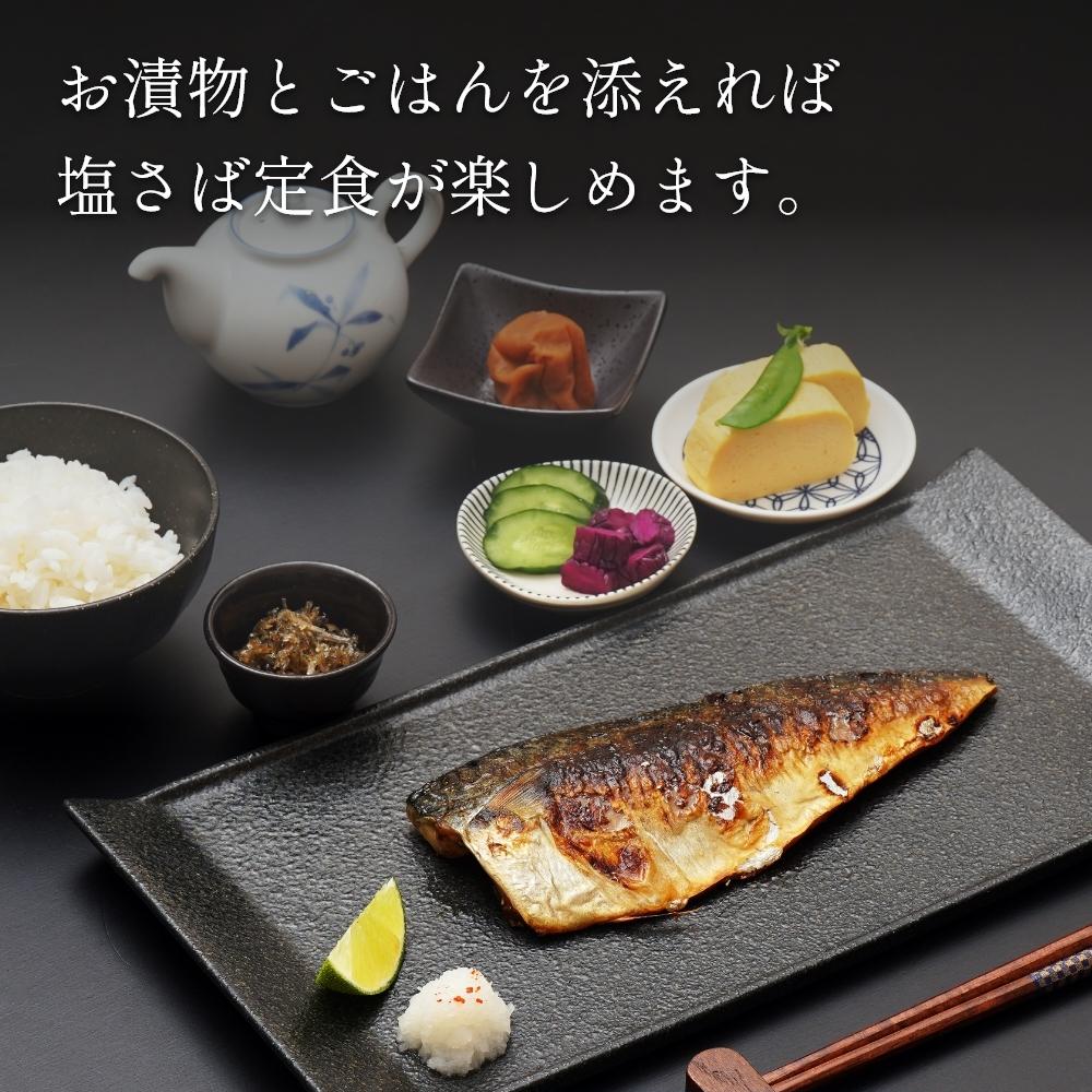 塩さばフィレ８枚入(真空パック入)　冷凍 さば サバ 鯖 おかず 焼くだけ   切り身 塩サバ  塩鯖 焼き魚 煮魚