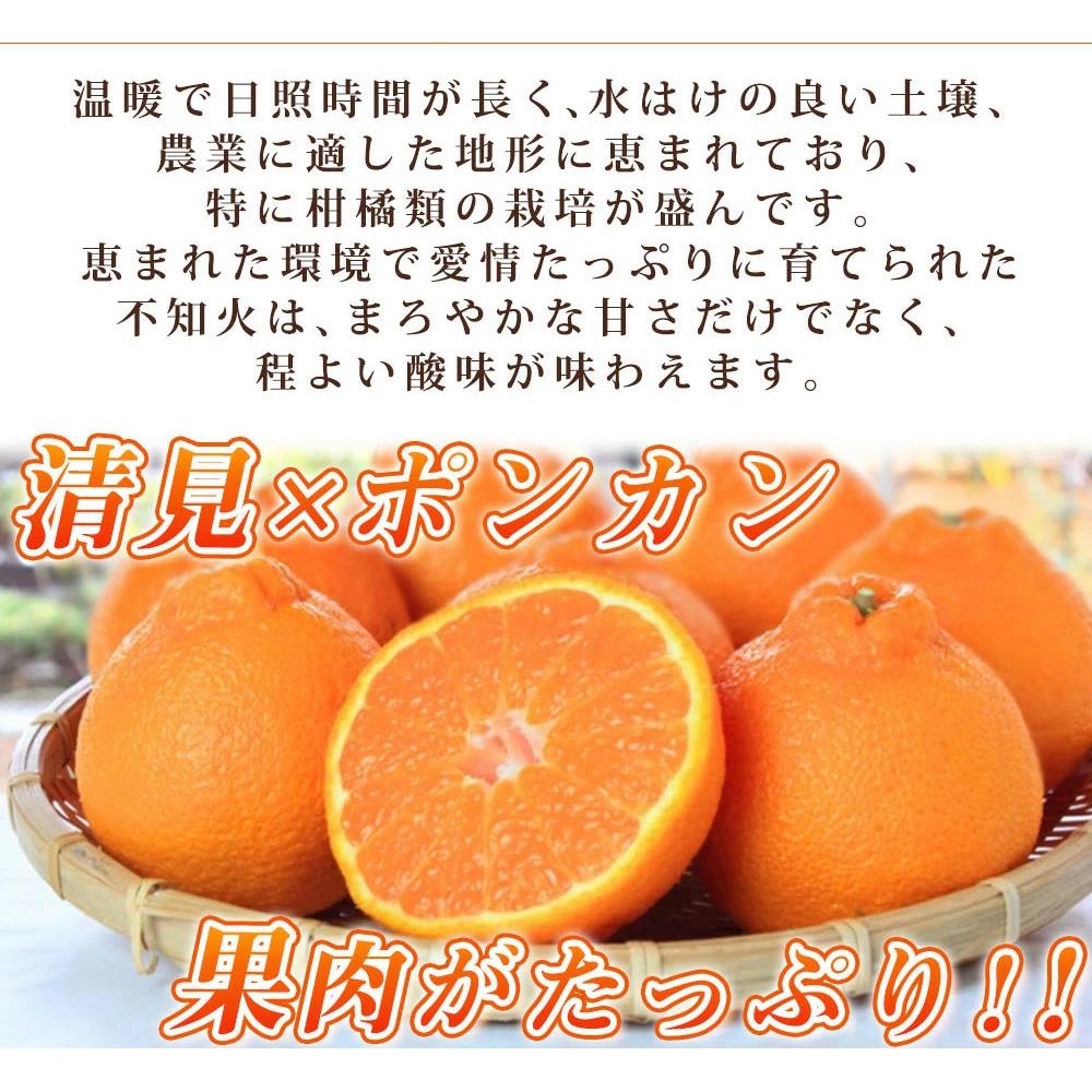 紀州有田産不知火(しらぬひ) 約５kg［2026年2月中旬以降発送］［先行予約］［UT40］