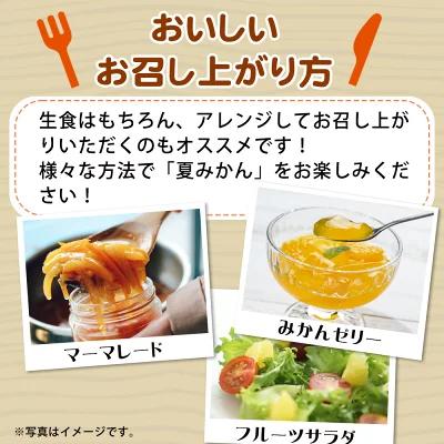 夏みかん 7.2kg［2026年4月中旬頃から発送］［先行予約］［UT73］