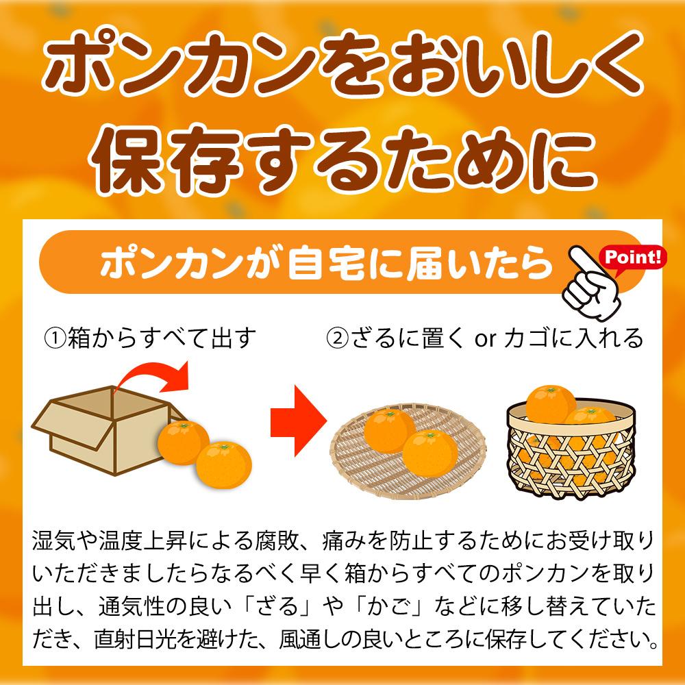 紀州和歌山有田産ポンカン　５ｋｇ【2026年2月上旬頃～2026年2月下旬頃に順次発送】【UT20】