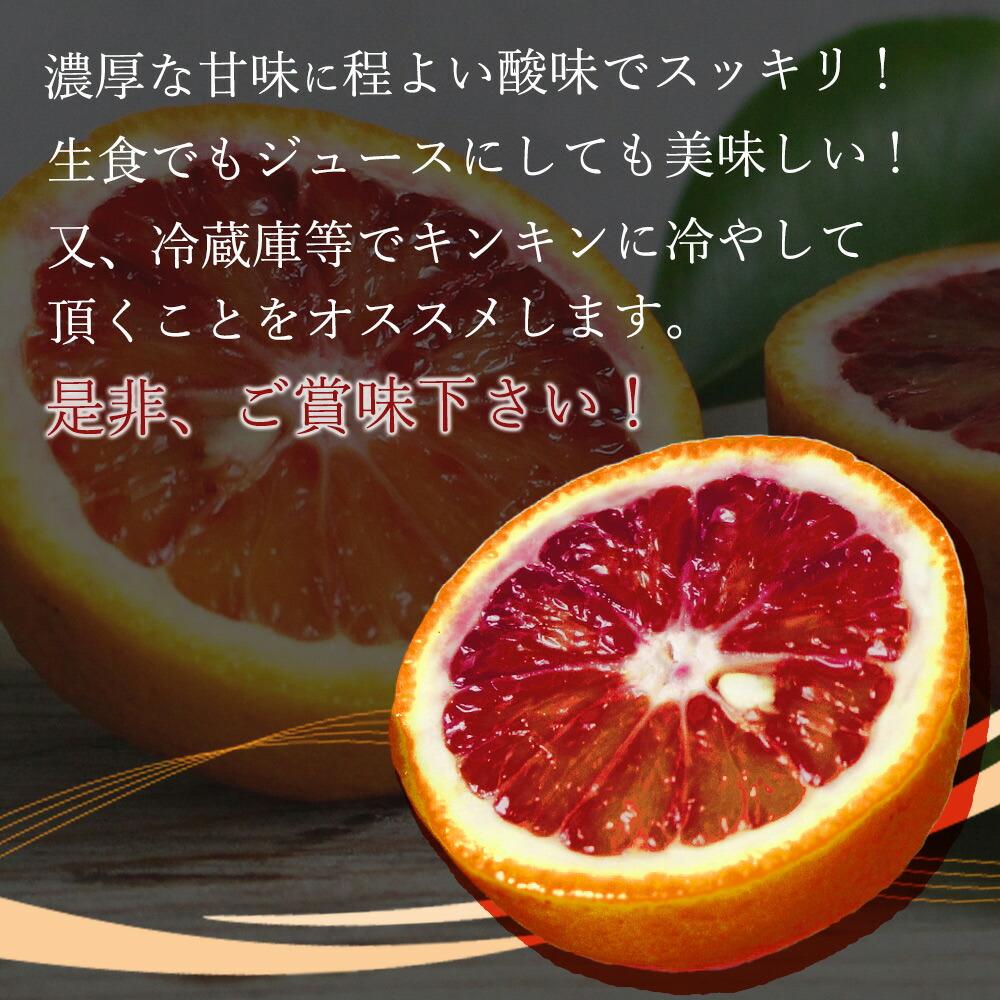 希少な柑橘!紀州有田産ブラッドオレンジ約3kg 【ご家庭用】【2026年3月上旬以降発送】【先行予約】【UT55】