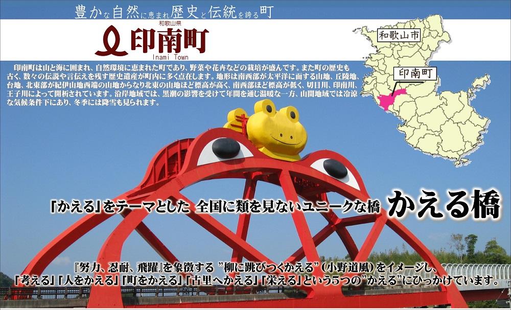 いなみなみなみ椎茸だし（椎茸だし35ｇ×5）