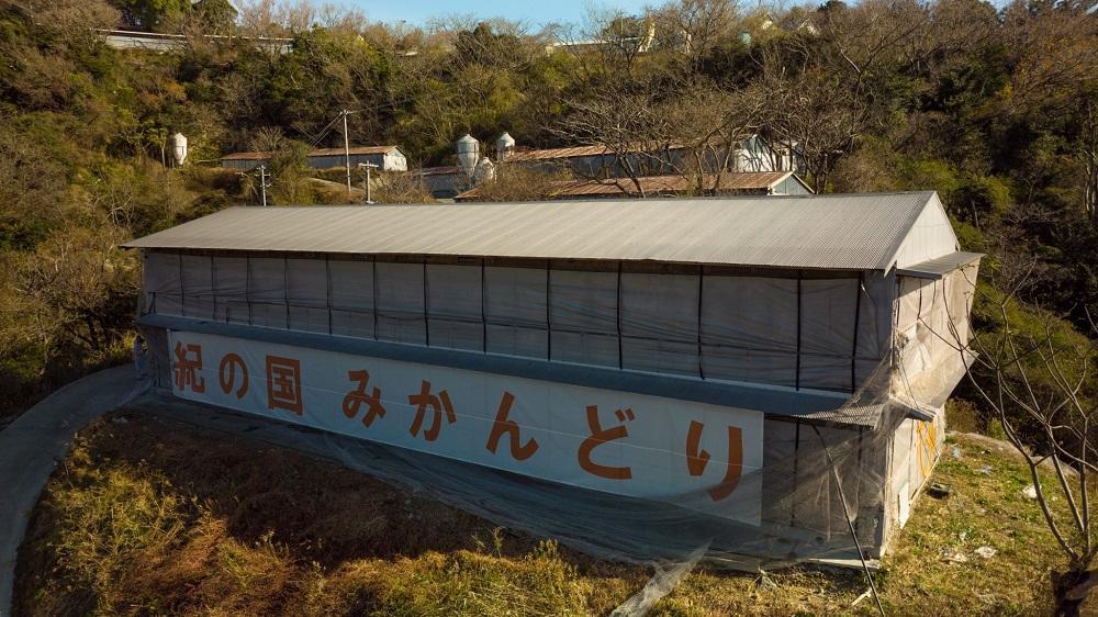 紀の国みかんどり　ローストレッグセット