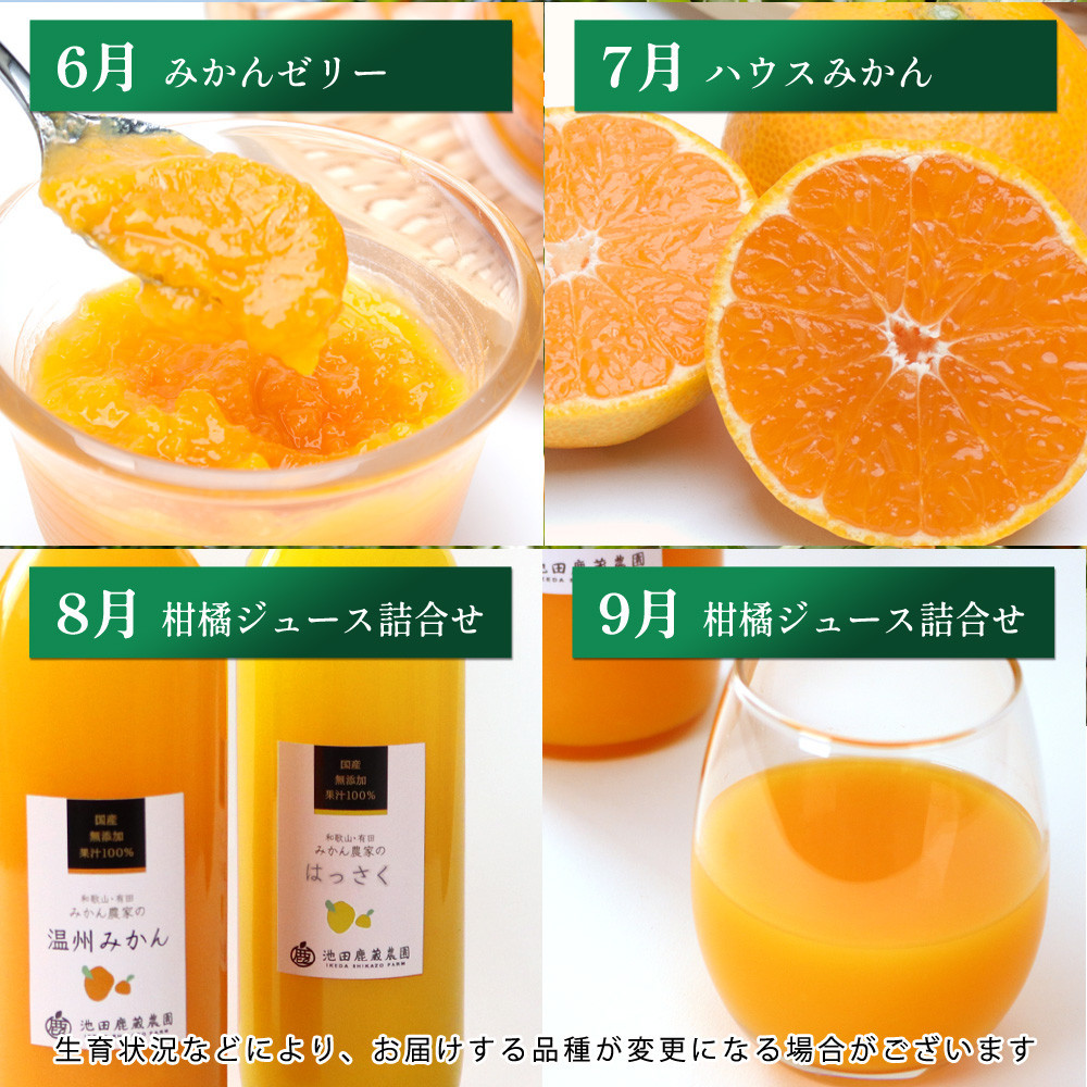 家庭用 柑橘定期便S（毎月）全12回 ［IKE300］