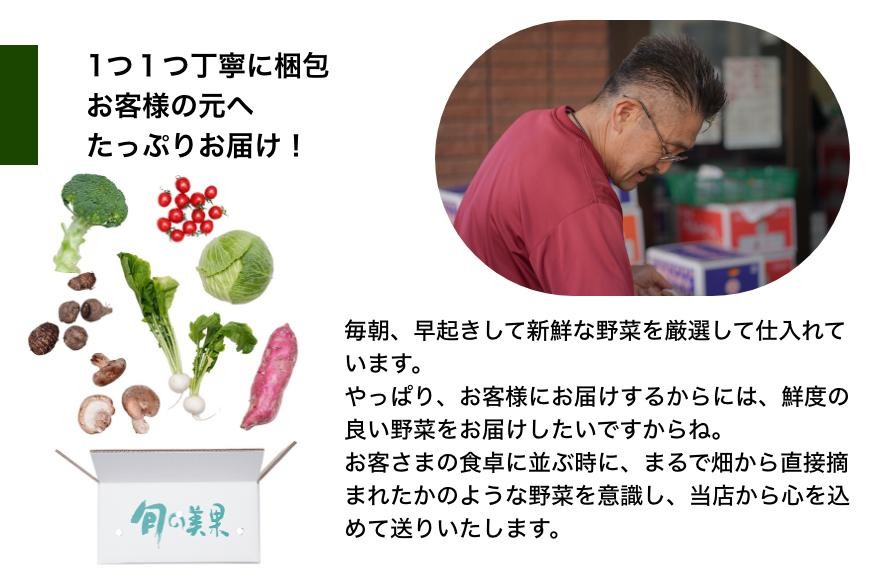 旬の新鮮野菜詰め合わせ 8種以上【野菜セット】 詰め合わせ やさい 果物 新鮮 旬 産地直送 採れたて 朝採れ みずみずしい 甘い 美味しい 人気 安心 安全 おすすめ 和歌山 県印南町