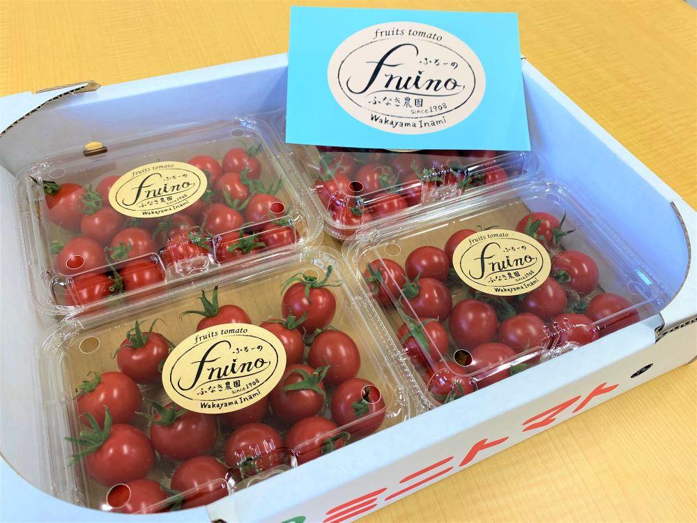 【2026年5月発送】フルーツトマト「fruino ふるーの」1箱（4パック）