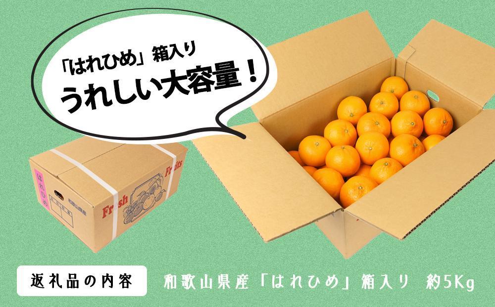 はれひめ（ミカンの希少種） 秀品  約5ｋｇ（25個～30個入）［先行予約］［2026年12月中旬頃から発送］［KG3］