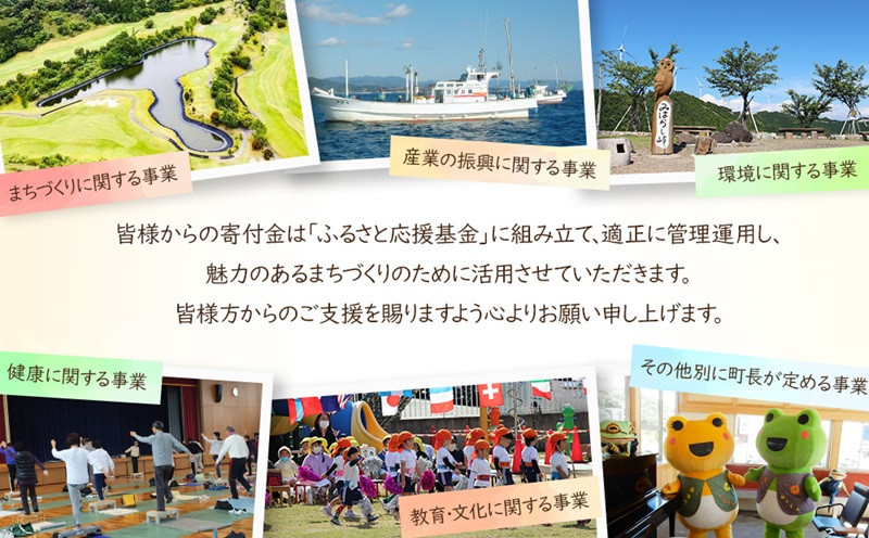 日本三大うちわ 京うちわ 仲秋 緑 1枚  箱入り