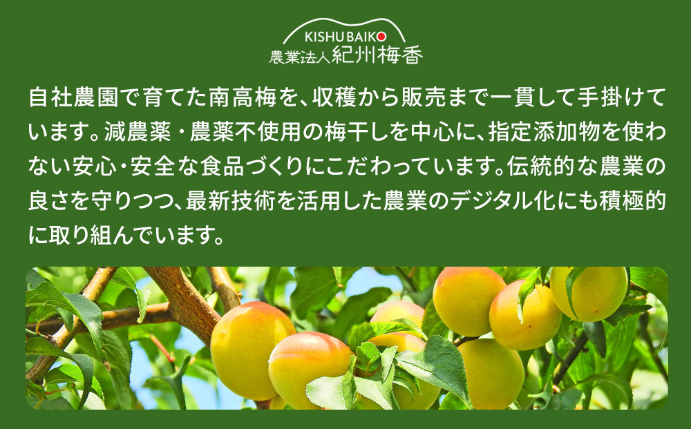 訳あり 無添加 梅干し 紀州梅香の減塩3%つぶれ梅 約1kg(500g× 2) 中~大粒 はねだし梅 紀州南高梅 産直) 3-G［KU3］
