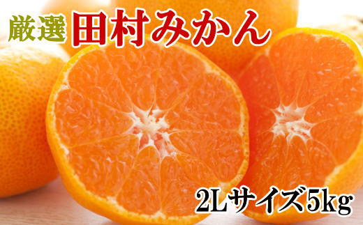 ［ブランドみかん］田村みかん約5kg（2Lサイズ・秀品）★2026年11月下旬頃より順次発送［TM106］