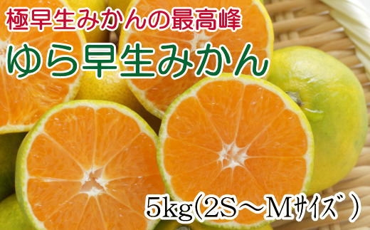 ［極早生みかんの逸品］有田産ゆら早生みかん約5kg★2026年10月中旬頃より順次発送［TM58］
