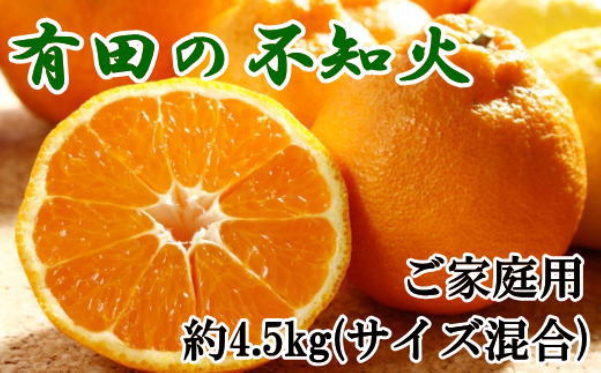 ［濃厚］有田の不知火約4.5kgご家庭用向け（サイズ混合）★2026年2月中旬頃より順次発送