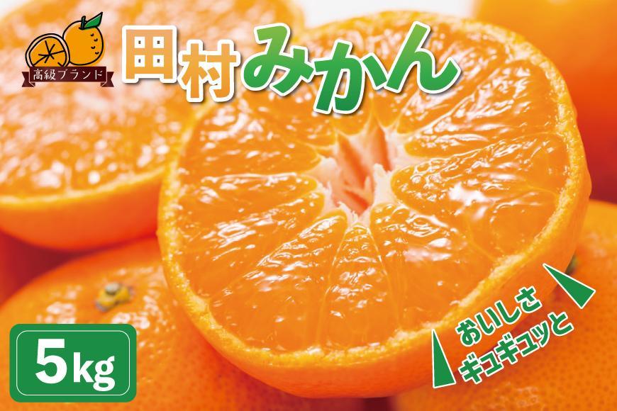 高級ブランド田村みかん　5kg［2026年11月下旬以降発送］［先行予約］［UT14］