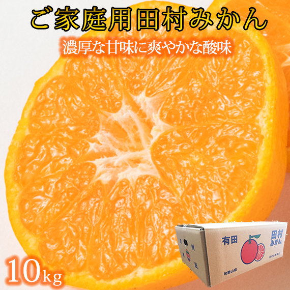 ［ご家庭用訳あり］田村みかん　10kg［2026年11月下旬以降発送］［先行予約］［UT16］